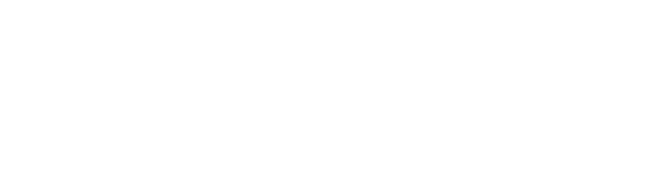 The Media Trader